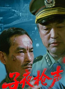 天天爽夜夜爽夜夜爽视频